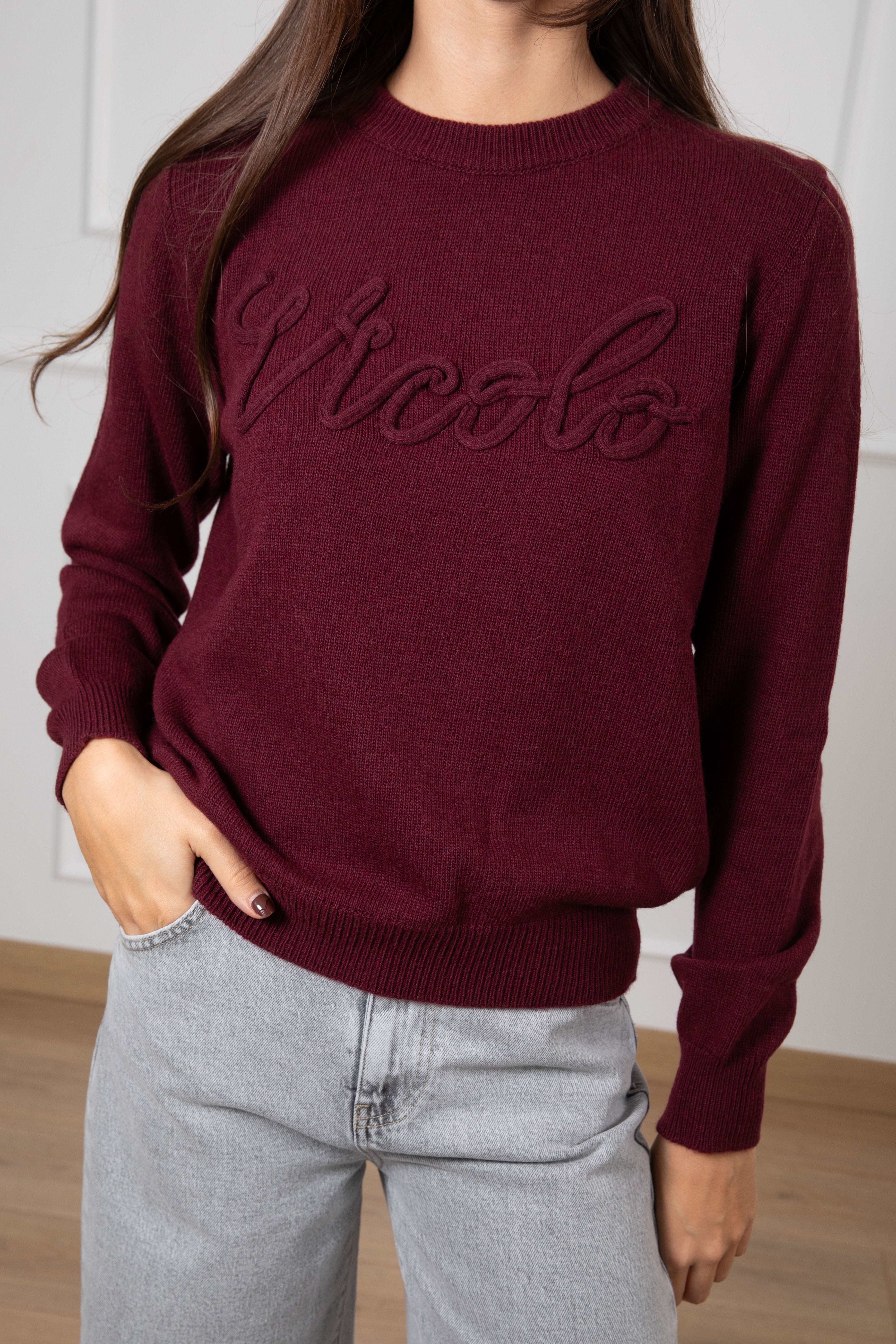 Pull girocollo con logo ViCOLO