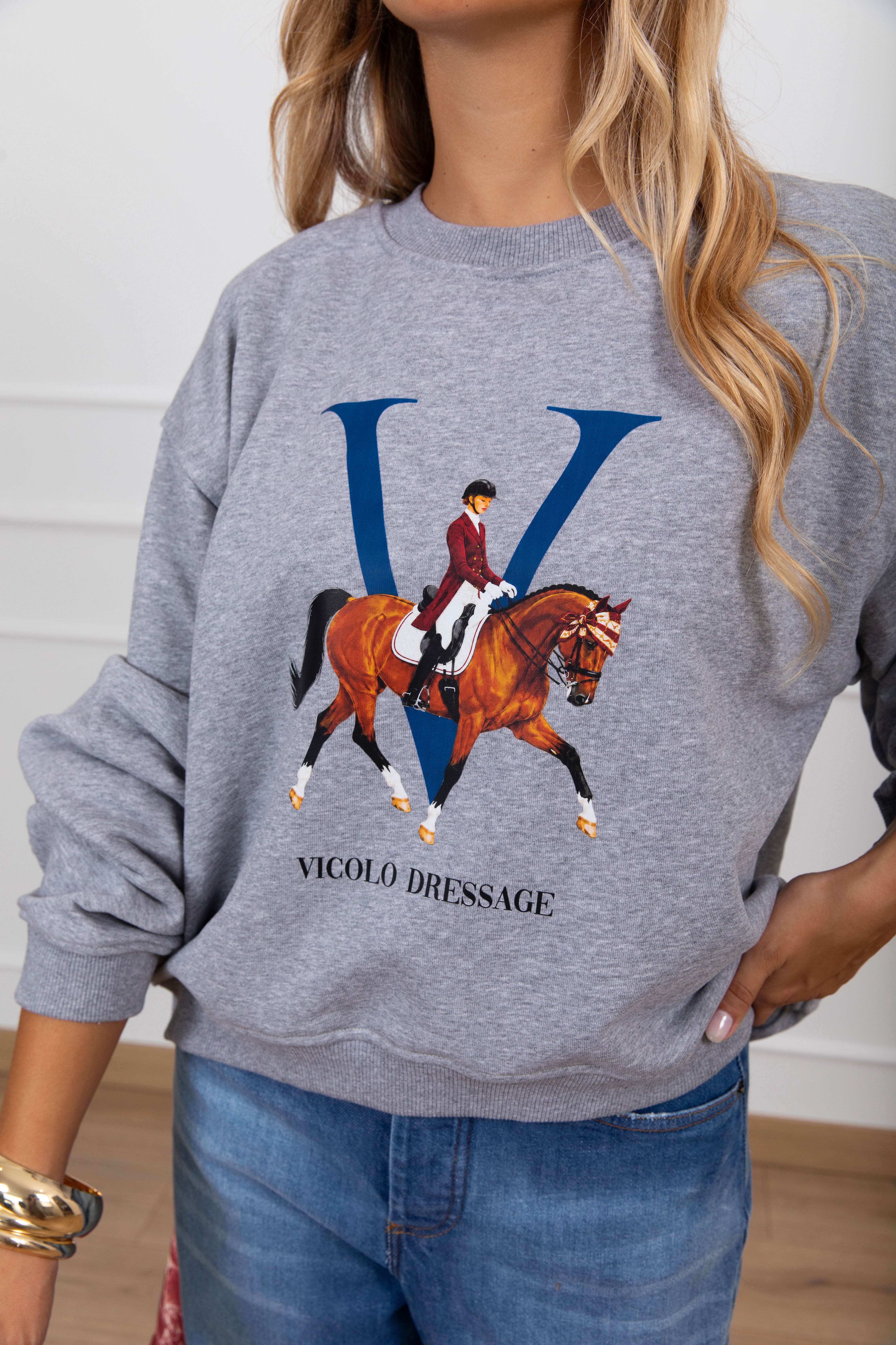 Felpa "Dressage" variante grigio ViCOLO