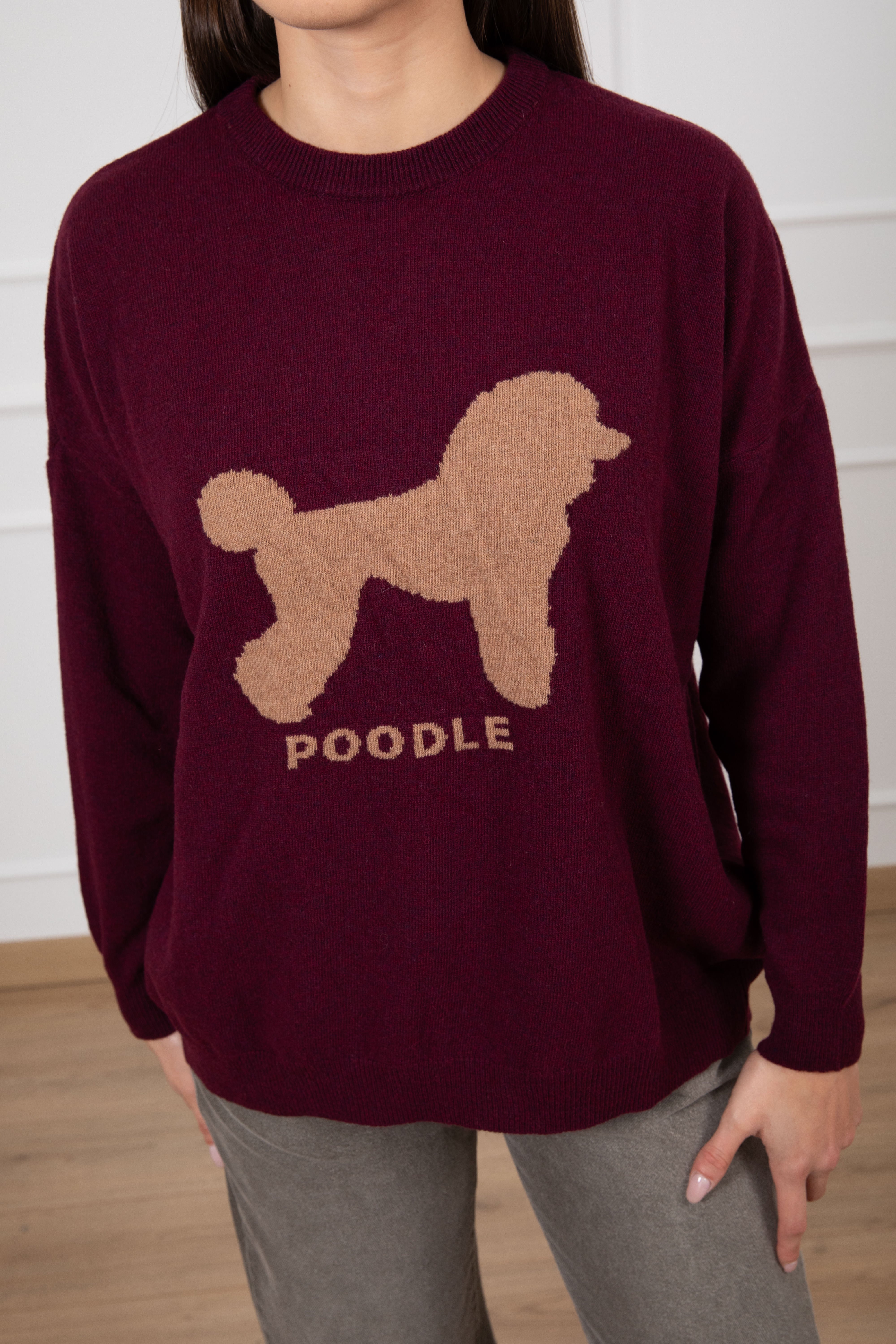 Pull girocollo con cane Dixie