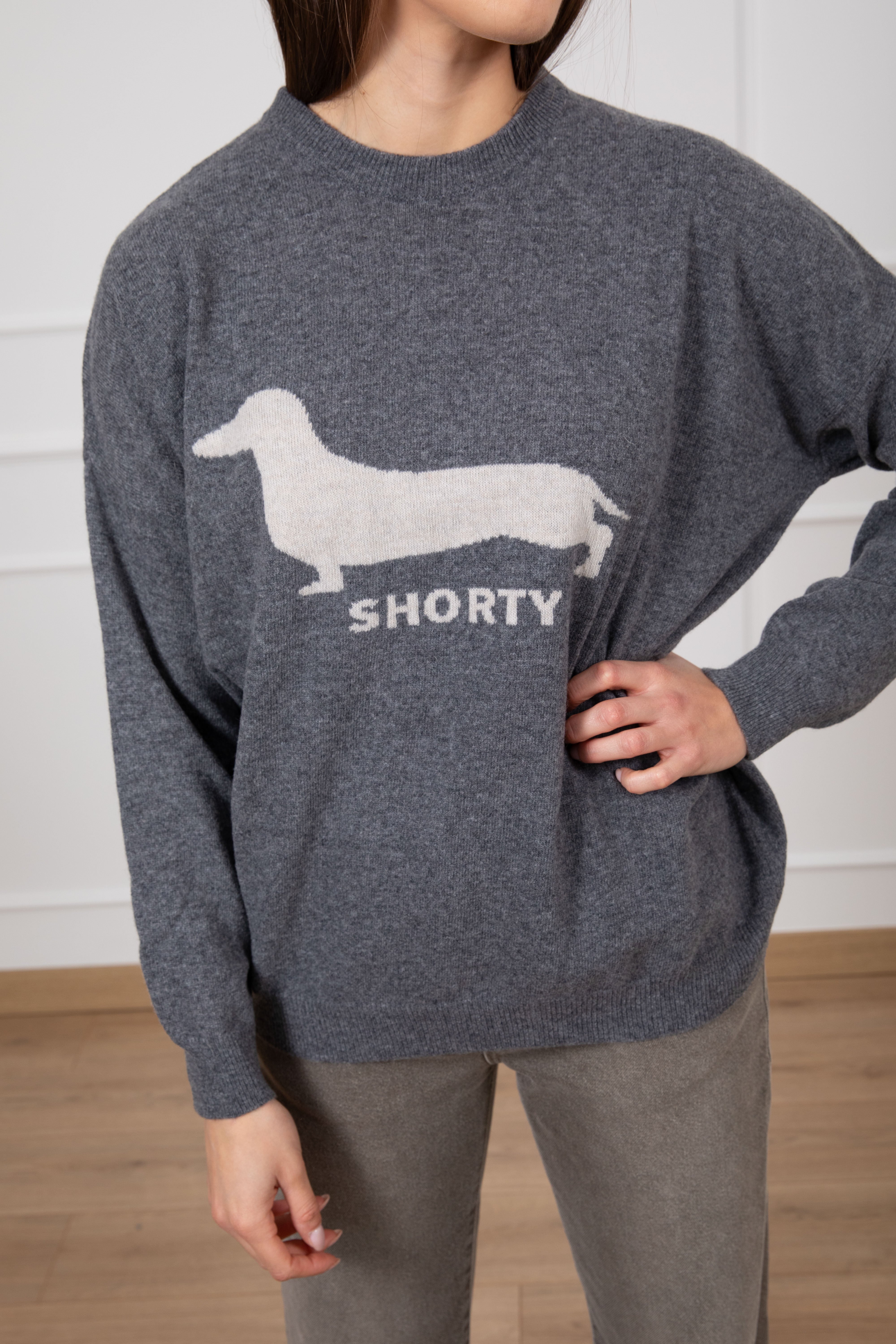 Pull girocollo con cane Dixie