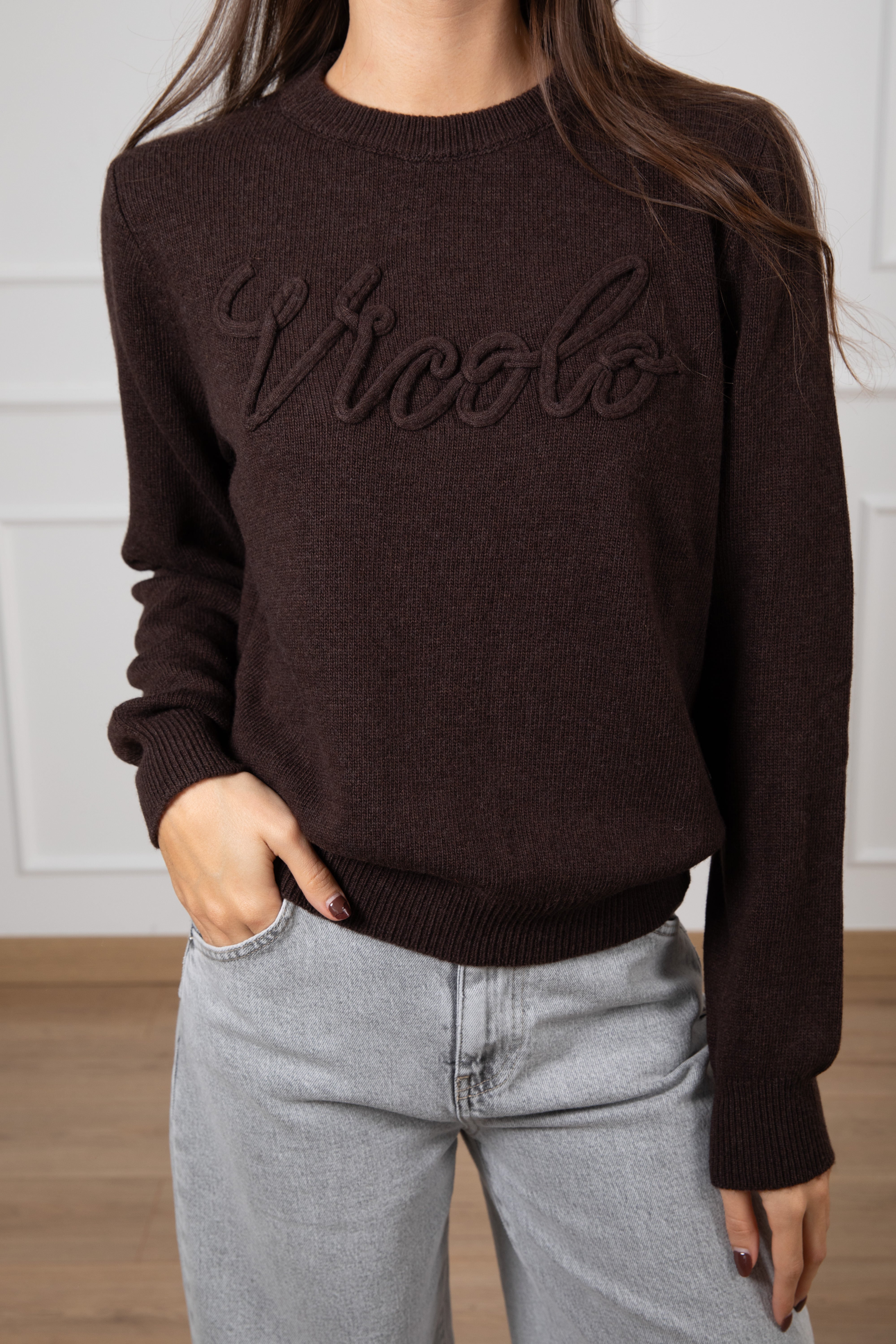 Pull girocollo con logo ViCOLO